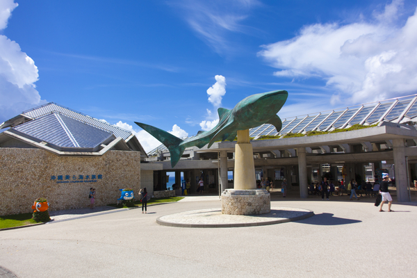 沖縄の美ら海水族館の画像